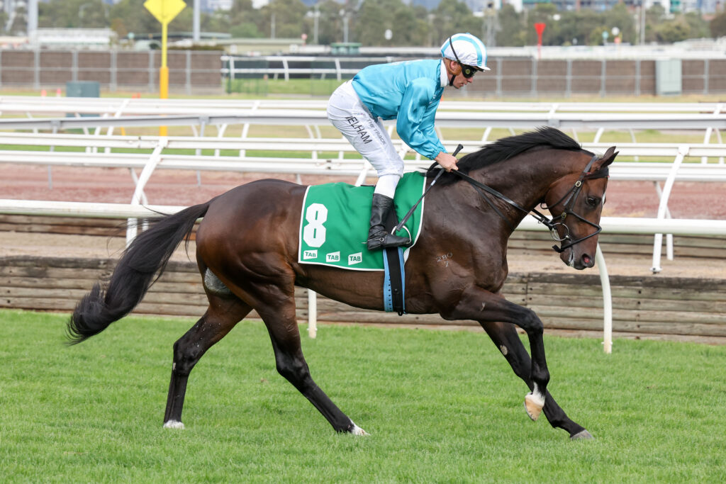/r8/ | Just Horse Racing