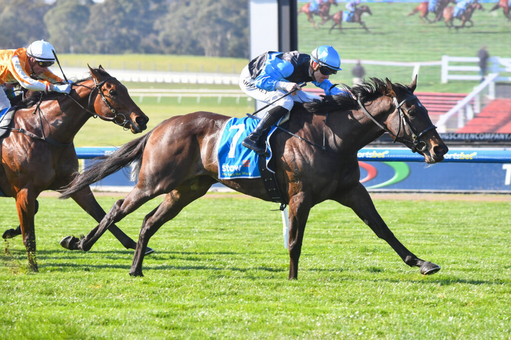 /r3/ | Just Horse Racing