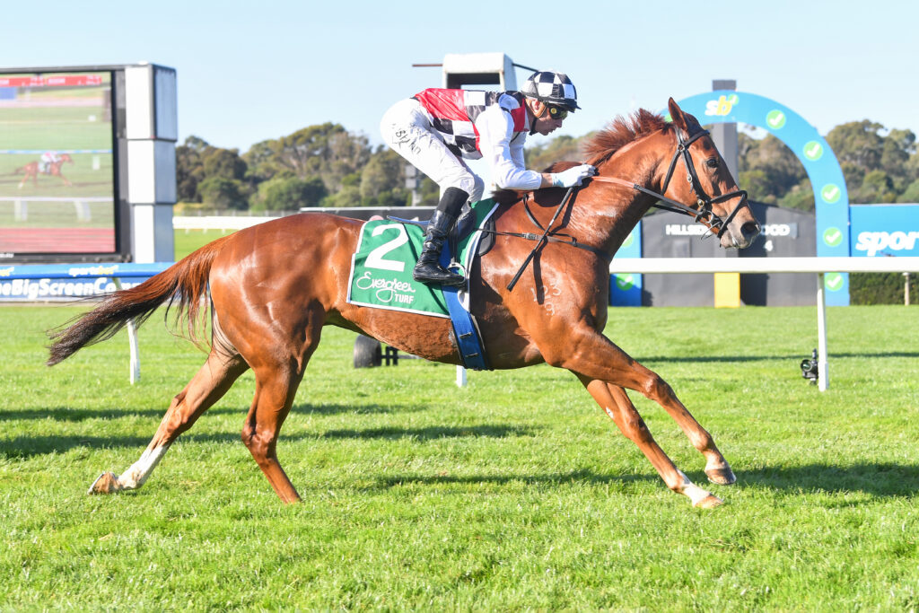/r5/ | Just Horse Racing