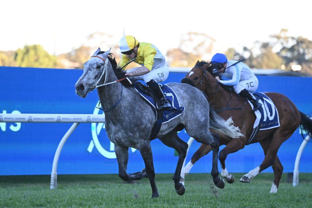 Briasa 310824 0565 | Just Horse Racing