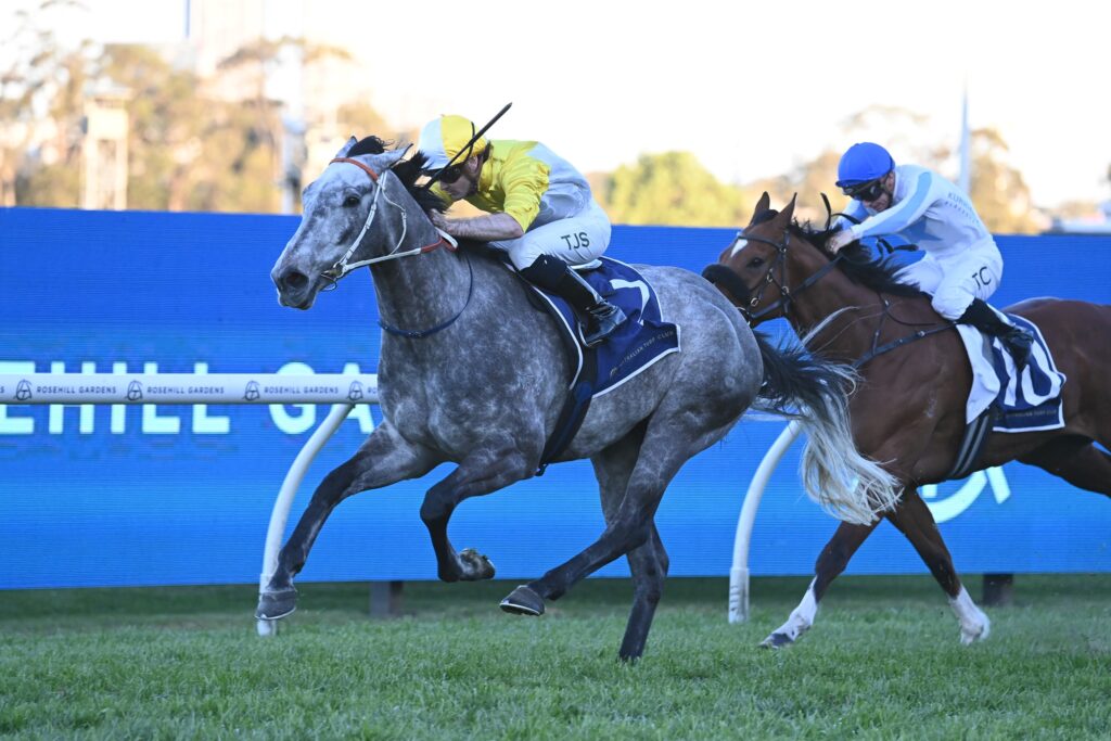 Briasa 310824 0567 | Just Horse Racing