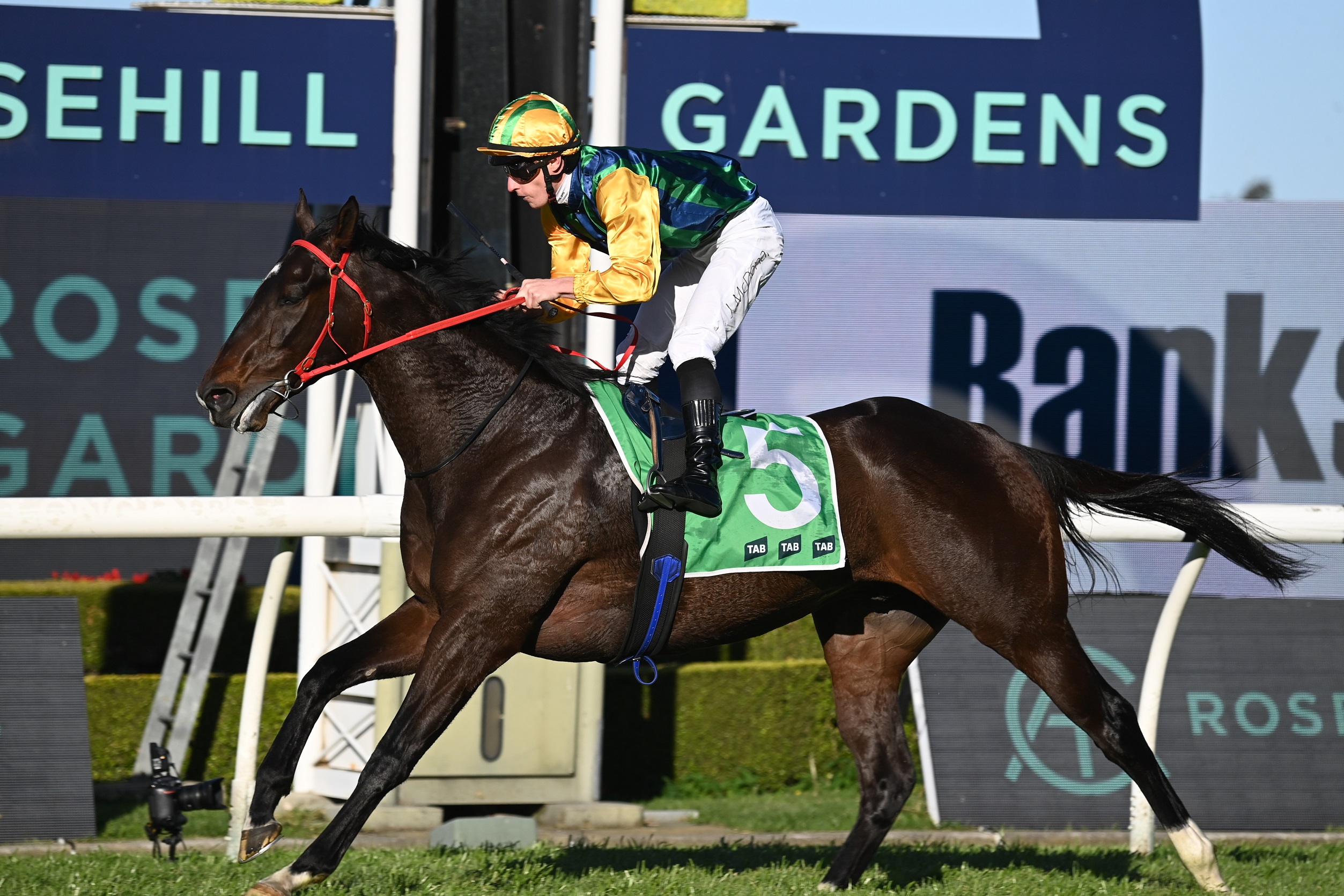 Hours Rching Schofield out to continue family record in Epsom Handicap | Just Horse ...