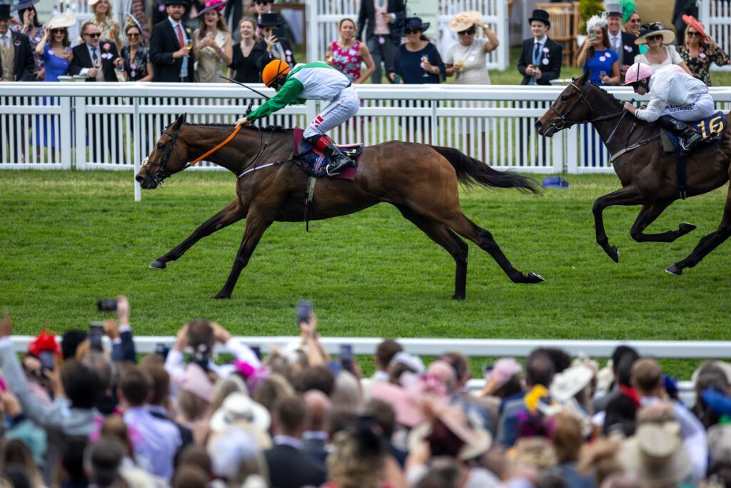 Crystal Black | Just Horse Racing