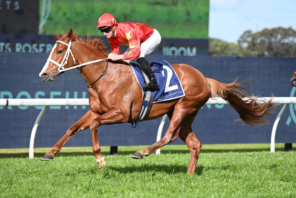 Gatsby's 170824 4855 | Just Horse Racing
