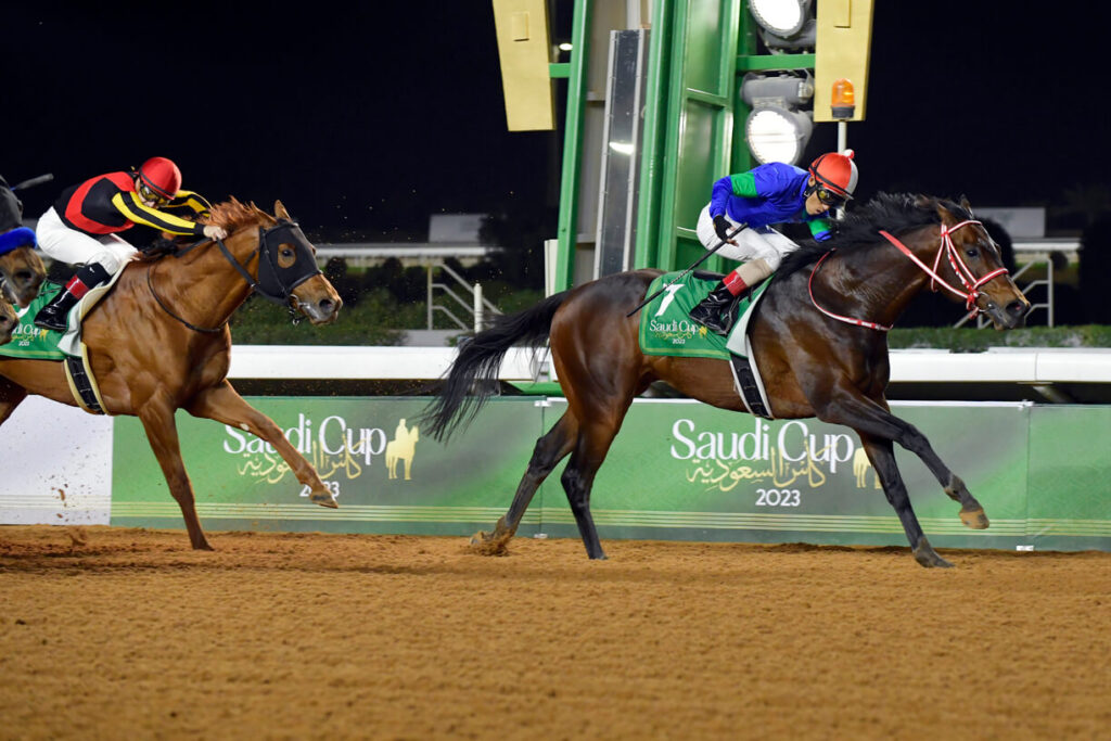 Panthalassa | Just Horse Racing