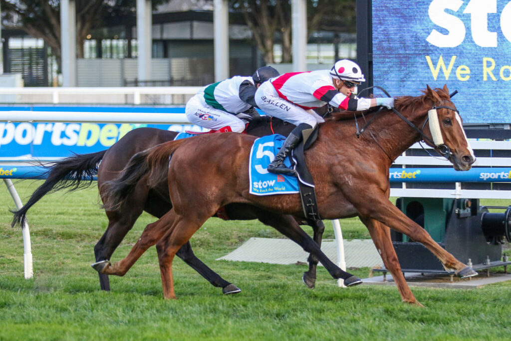 Pinstriped,Memsie Stakes,Group 1_31-08-2024_WIN_Caulfield_9__816 | Just Horse Racing