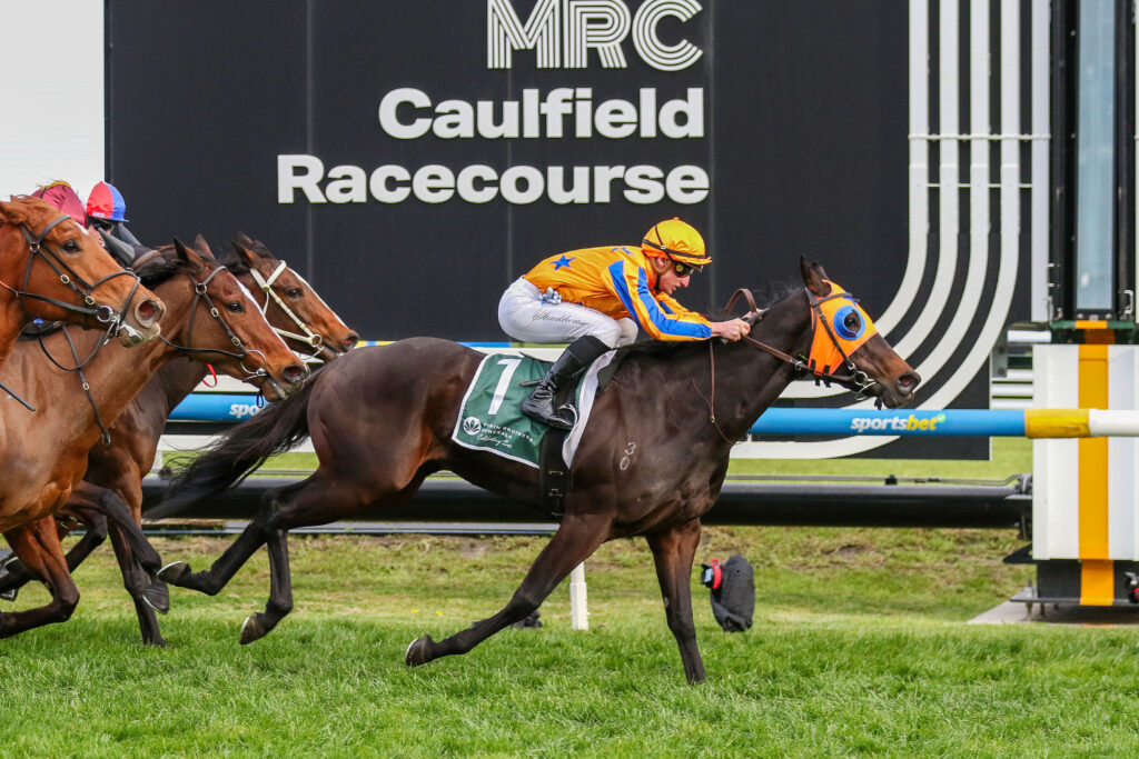 Quintessa,Cockram Stakes,Group 3_31-08-2024_WIN_Caulfield_7__674 | Just Horse Racing