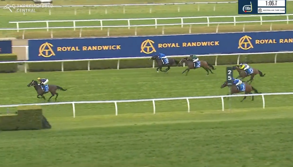 Theblade shreds rivals in impressive debut | Just Horse Racing