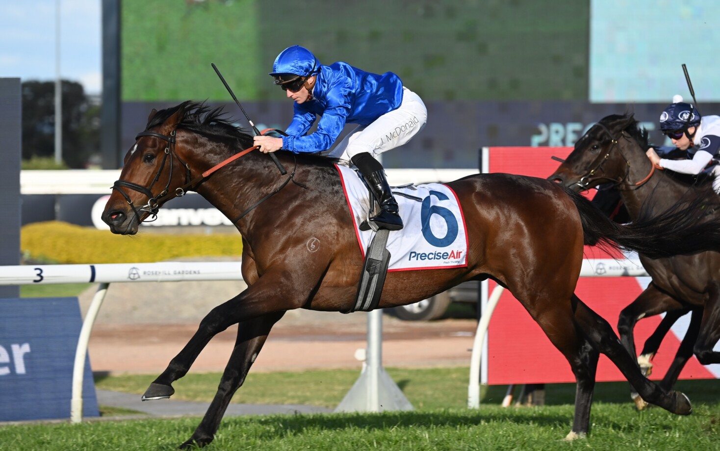 Tom Charles Racing Tom Kitten chasing King Charles III Stakes | Just Horse Racing