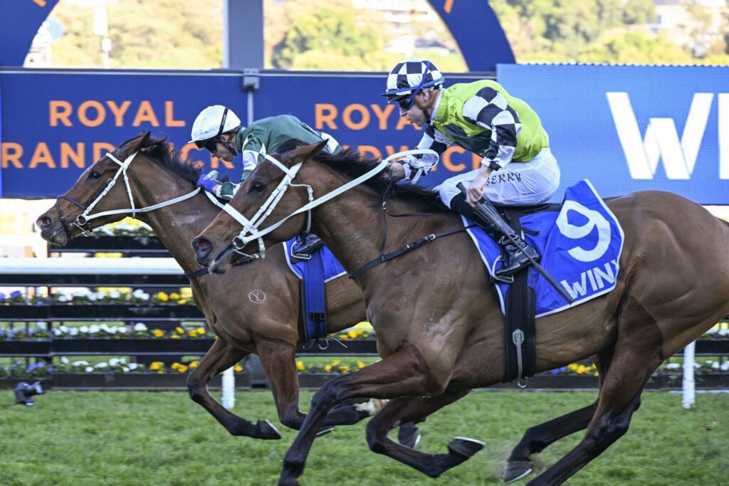 DSC_0994VIA SISTINA,Z_8_RW_24082024__B969 | Just Horse Racing