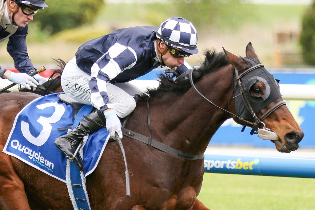 Young Werther_31-08-2024_WIN_Caulfield_4__390 | Just Horse Racing
