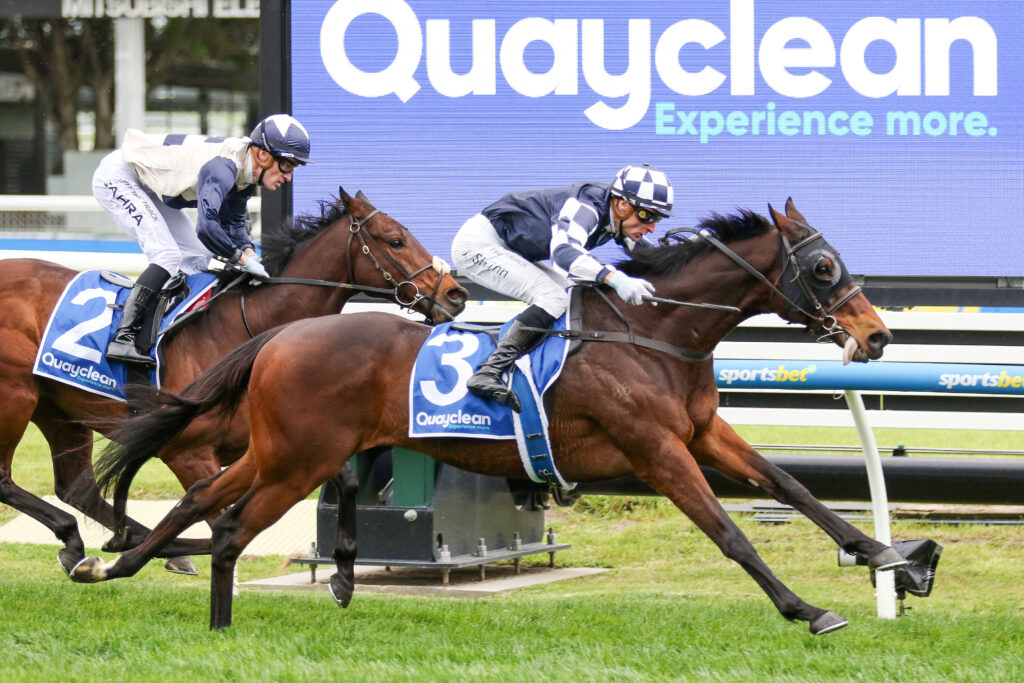 Young Werther_31-08-2024_WIN_Caulfield_4__396 | Just Horse Racing