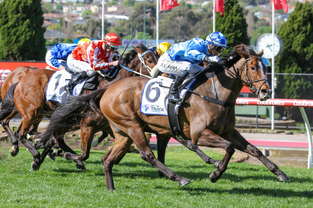 A LITTLE DEEP (4) | Just Horse Racing