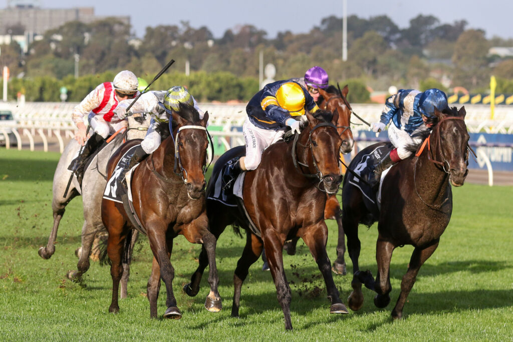 ARKANSAW KID (2) | Just Horse Racing