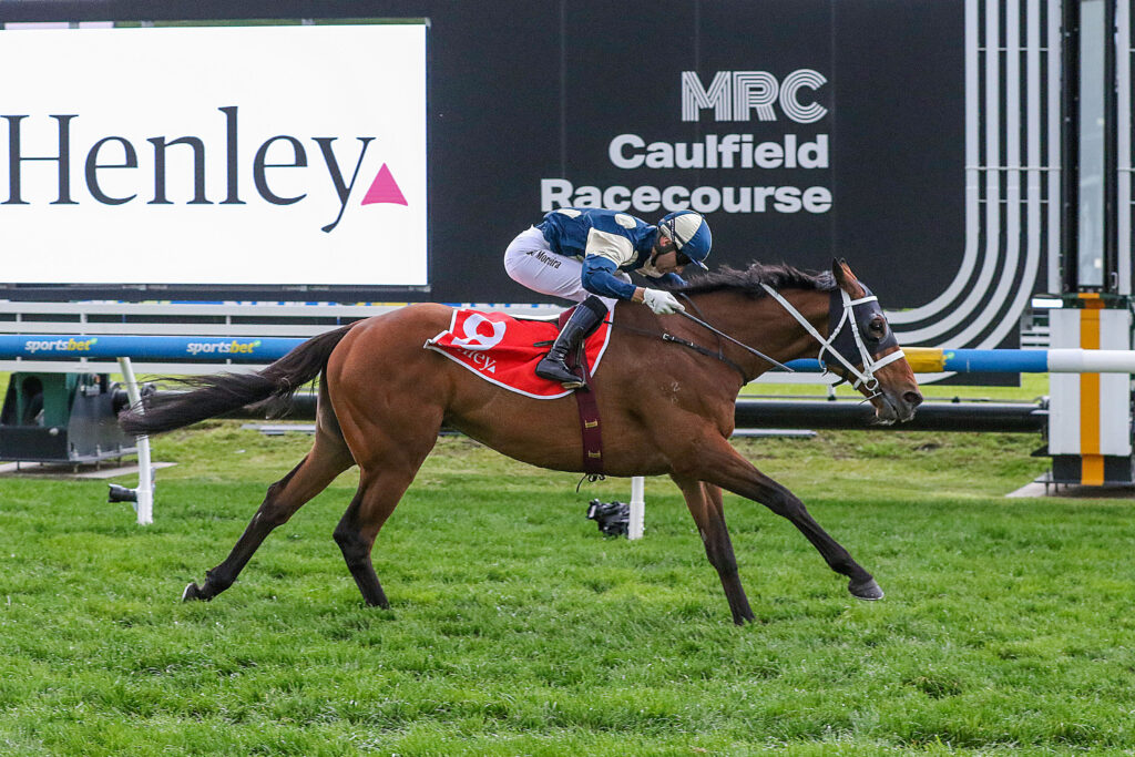 2024 Melbourne Cup odds get a shakeup with favourite out of field