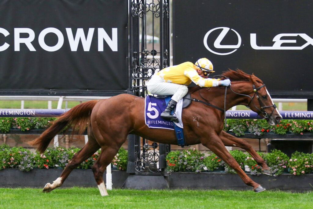 DAWN SERVICE (6) | Just Horse Racing