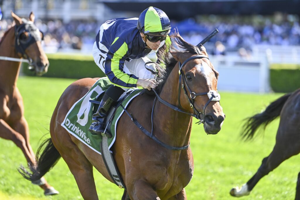 DSC_2925ELIYASS,Z_5_RW_21092024__E2481 | Just Horse Racing