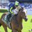 DSC_2925ELIYASS,Z_5_RW_21092024__E2481 | Just Horse Racing