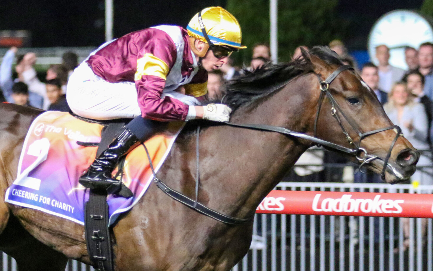 Mixed draw for Aussies in the NZ $3.5m NZB Kiwi | Just Horse Racing