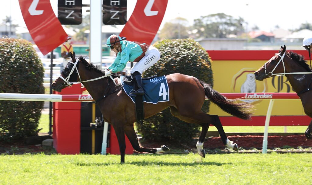 Fleur Du Monde | Just Horse Racing