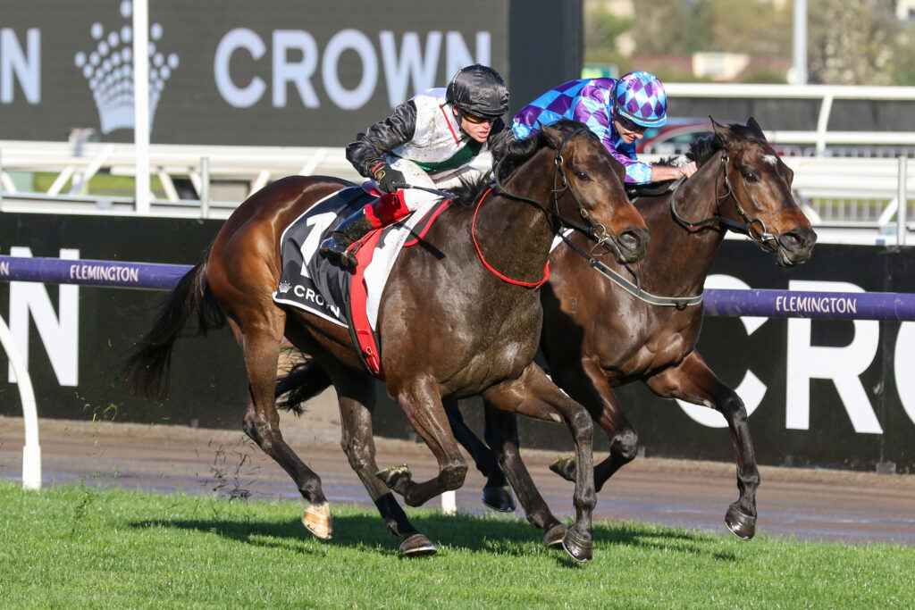 MR BRIGHTSIDE (2) | Just Horse Racing