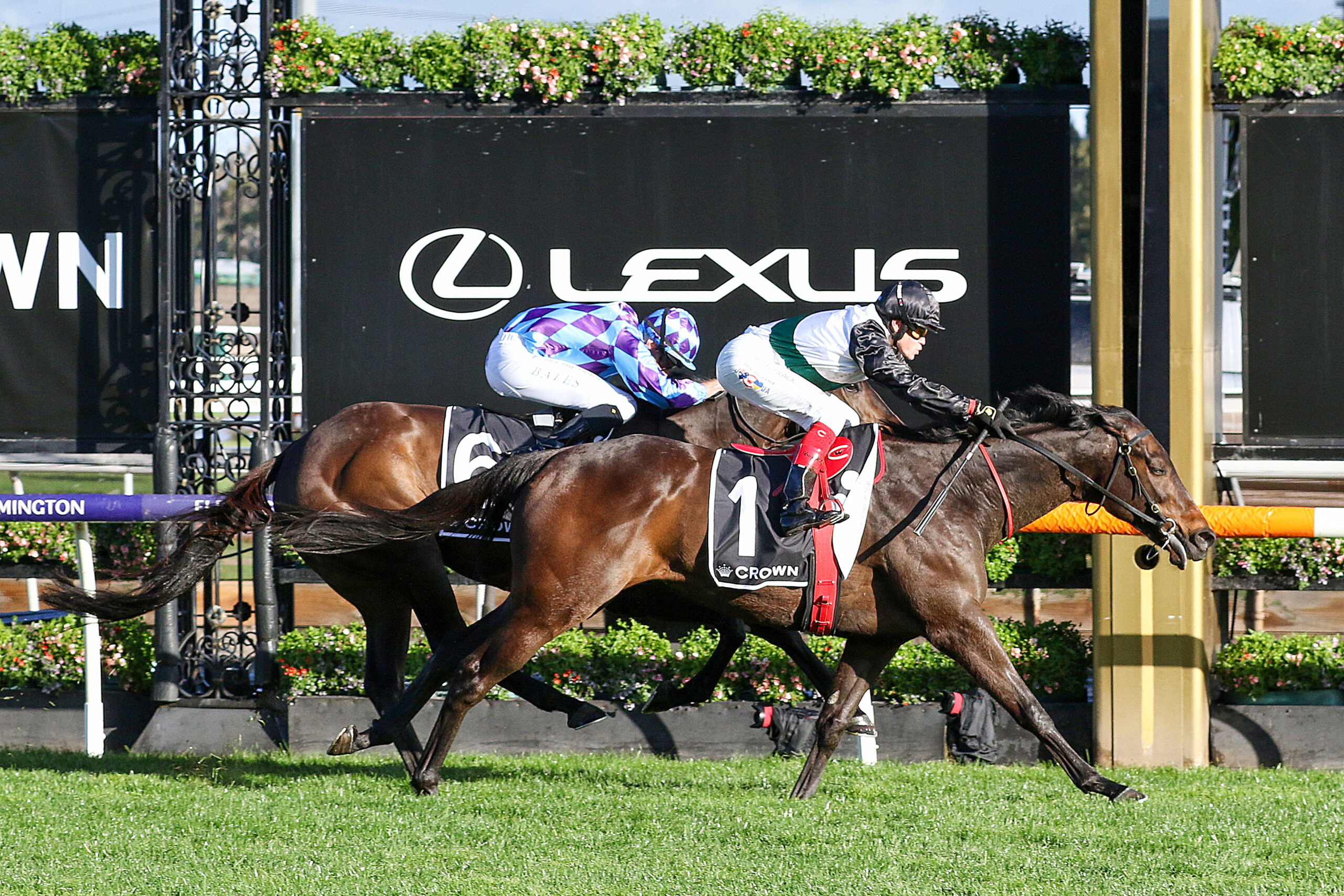 Makybe Diva Stakes
