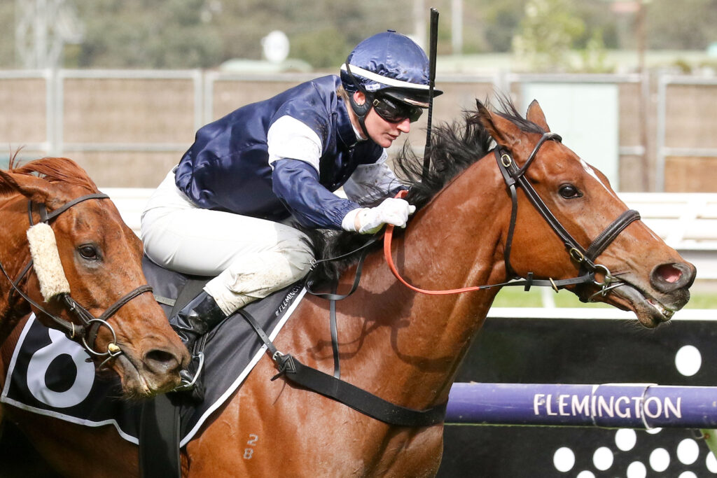 POINT KING (5) | Just Horse Racing