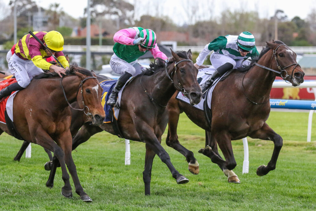 Positivity,MRC Foundation Cup,Group 3_21-09-2024_WIN_Caulfield_7__1177 | Just Horse Racing