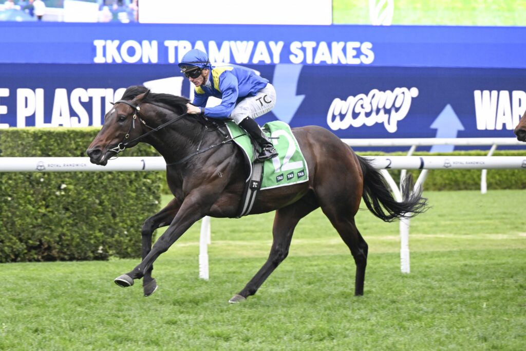 DSC_4987ROYAL PATRONAGE,Z_9_RW_07092024__B074 | Just Horse Racing