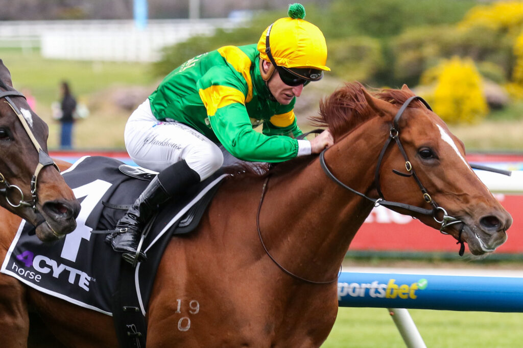 Regal Zeus_21-09-2024_WIN_Caulfield_2__257 | Just Horse Racing