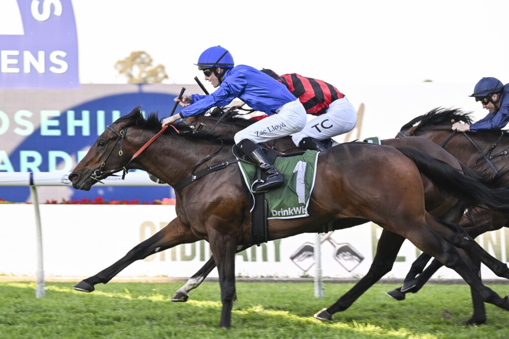 Top Godolphin colt locked in for The Everest