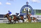 Rosehill Races