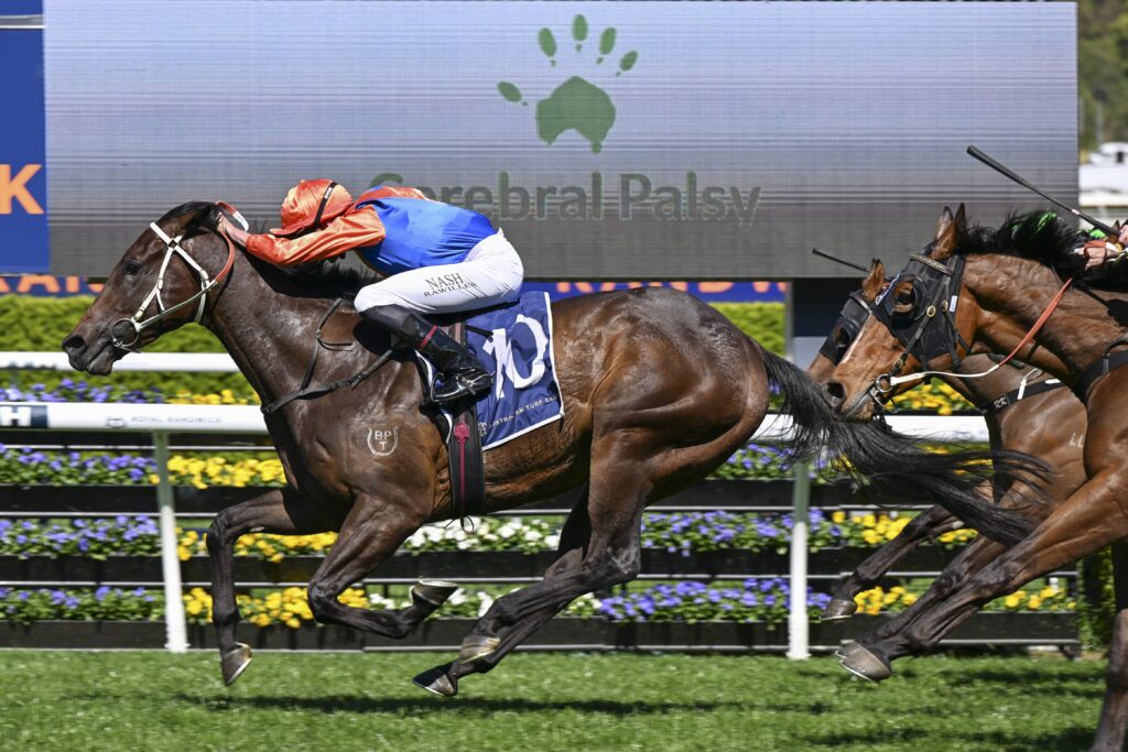 DSC_9169WELL TIMED,Z_4_RW_21092024__B601 | Just Horse Racing