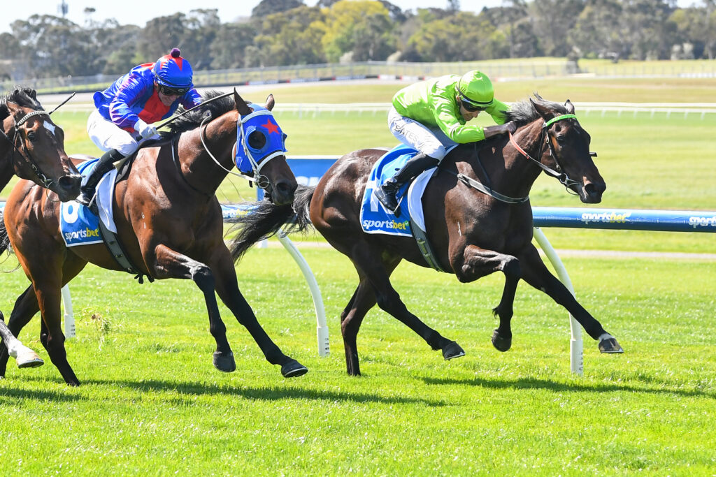 /r1/ | Just Horse Racing