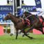 DSC_0871ATTRITION,Z_7_RH_12102024__B1510 | Just Horse Racing