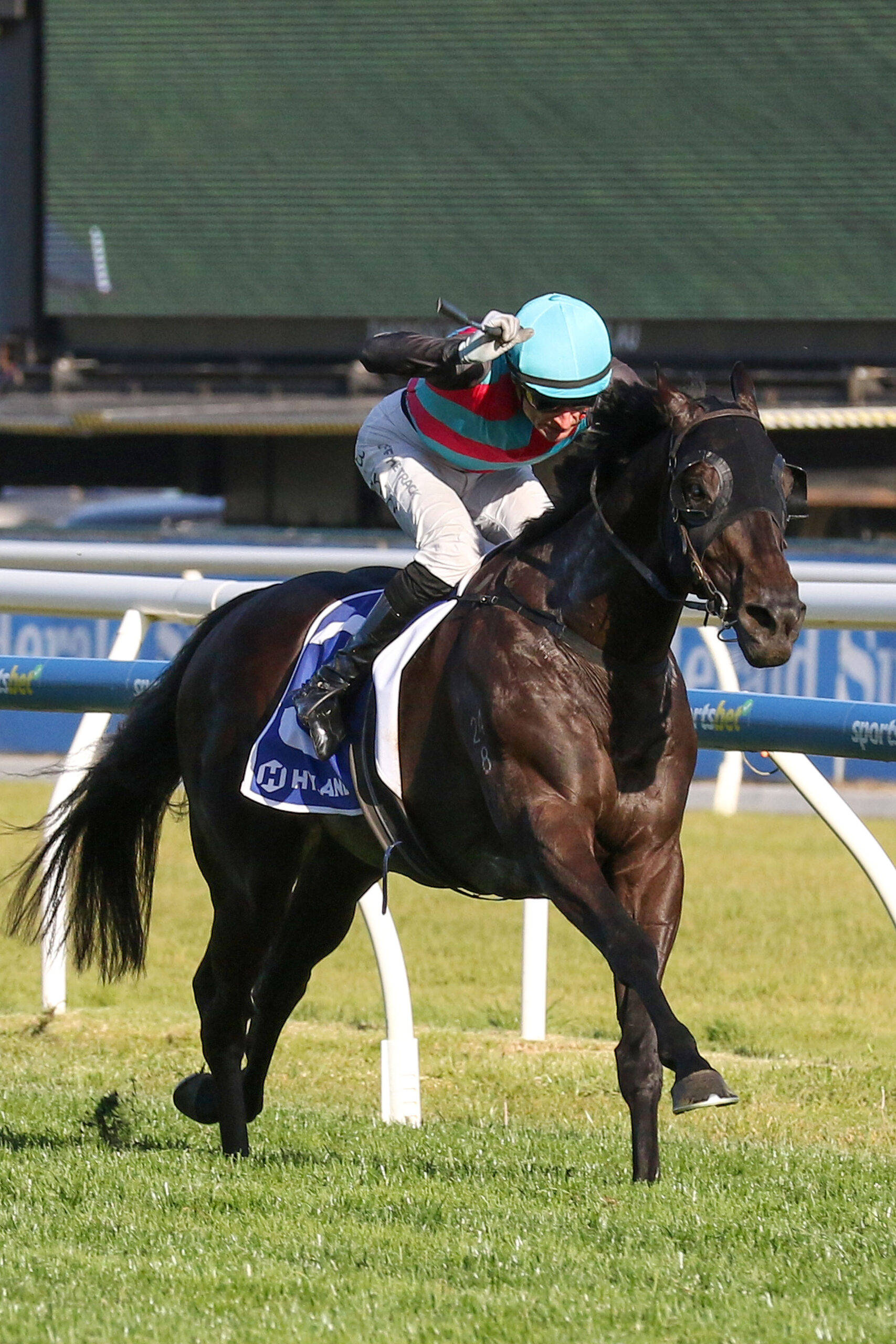 Antino,Toorak Hdcp,Group 1…