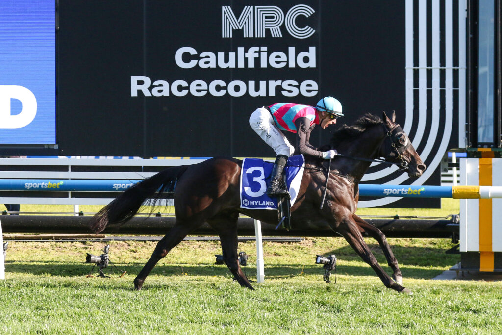 Antino,Toorak Hdcp,Group 1_12-10-2024_WIN_Caulfield_10__1561 | Just Horse Racing