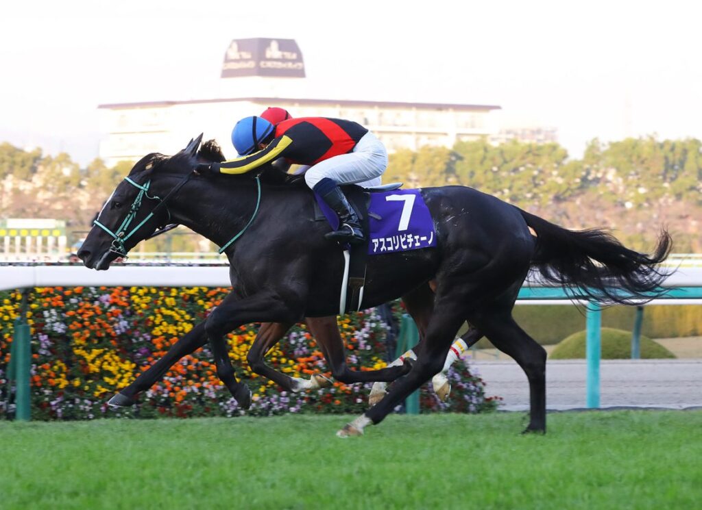 Ascoli-Piceno | Just Horse Racing