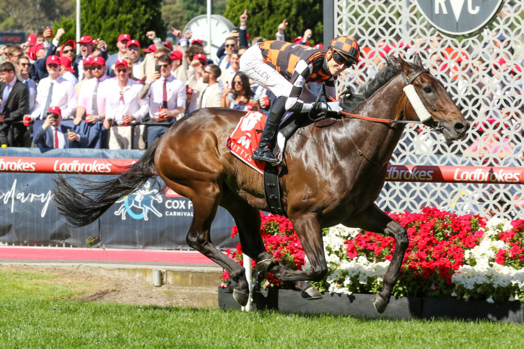 BARAQIELV9A1353 | Just Horse Racing