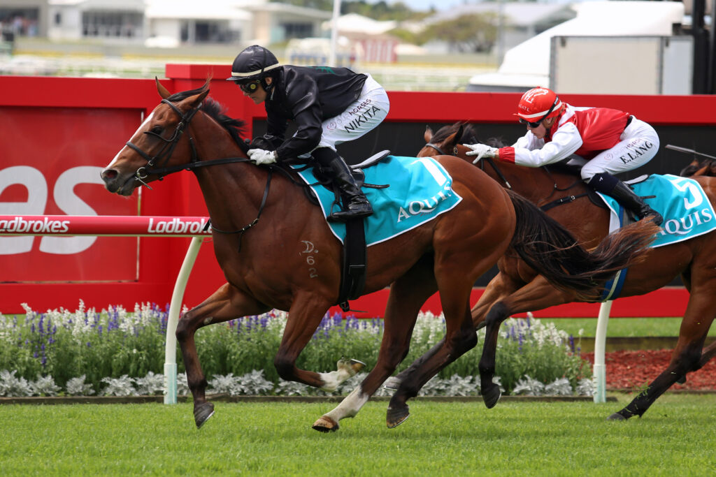 BETTERLUCKNEXTTIME2T8964 | Just Horse Racing