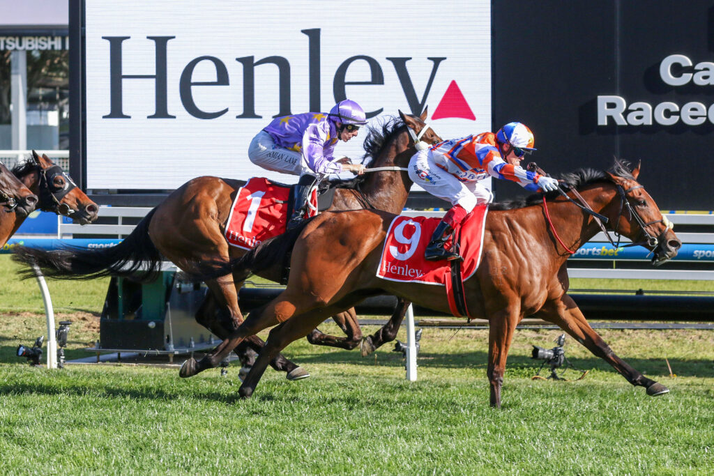 Bellatrix Star,Schillaci Stakes,Group 2_12-10-2024_WIN_Caulfield_9__1391 | Just Horse Racing