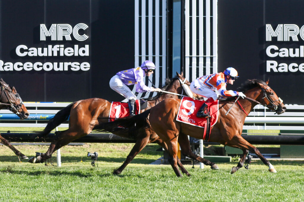 Bellatrix Star,Schillaci Stakes,Group 2_12-10-2024_WIN_Caulfield_9__1394 | Just Horse Racing