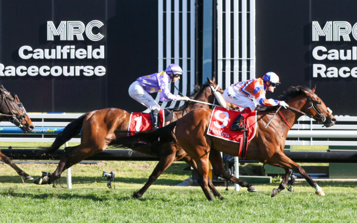 Bel Esprit Stakes Field & Odds – 2026 | Just Horse Racing
