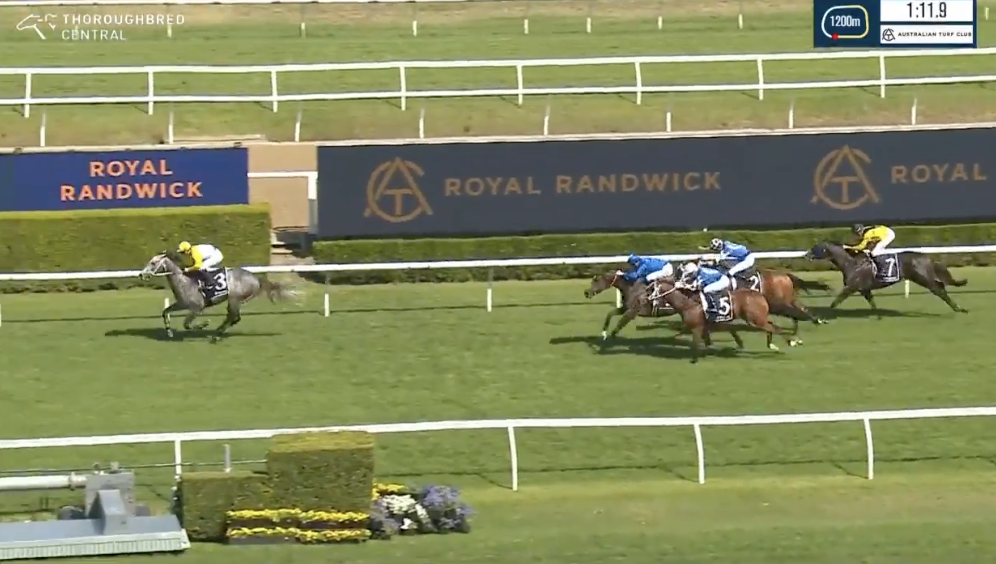 Briasa stamps himself as a potential G1 horse | Just Horse Racing