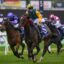 Ceolwulf 7326 | Just Horse Racing