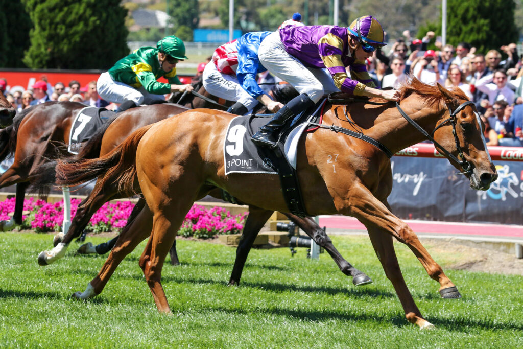 DOUBLE MARKETV9ADOUBLE MARKET569 | Just Horse Racing