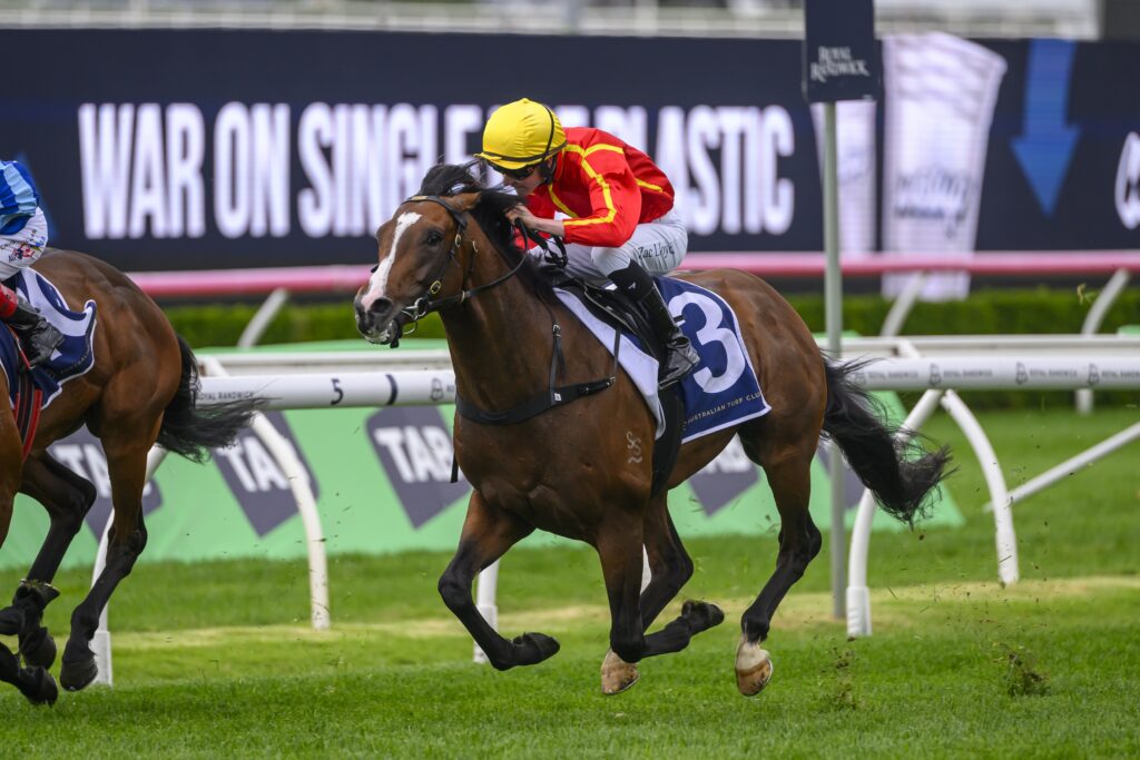 Ducasse 191024 0361 | Just Horse Racing