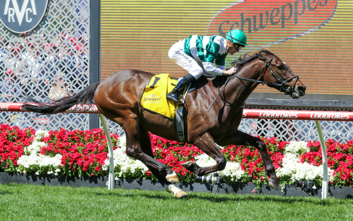 Ballarat Cup Field & Odds 2024