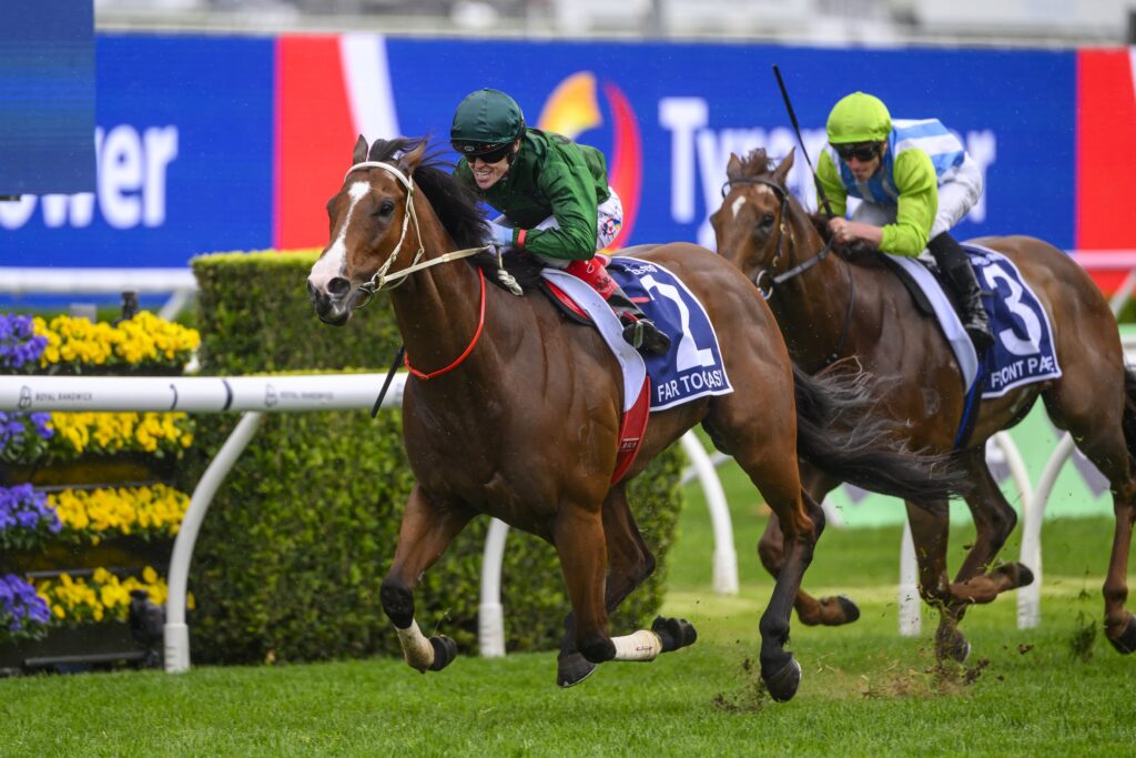 Far Too Easy 191024 2587 | Just Horse Racing