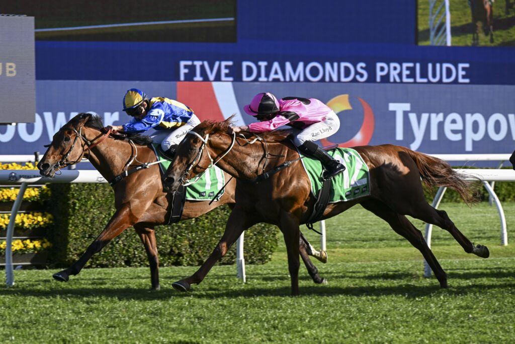 DSC_7459IKNOWASTAR,Z_9_RW_26102024__B1930 | Just Horse Racing